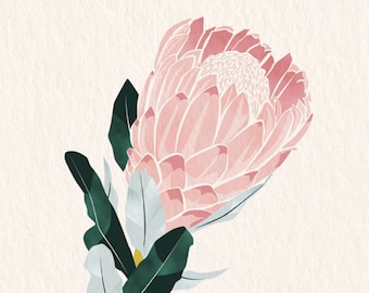 Protea Ice Print