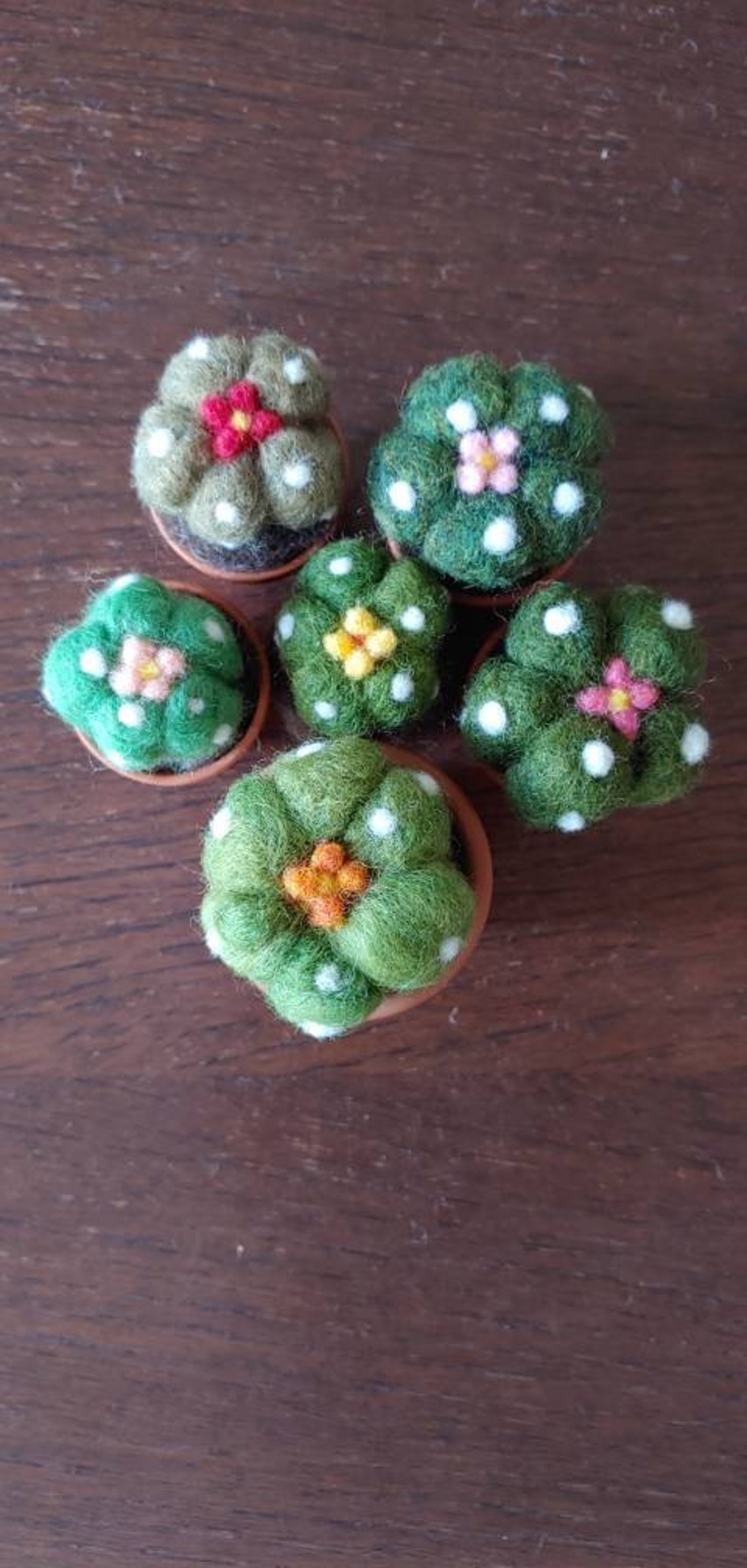 Mini Needle Felted Succulent Plant Needle Felt Cactus Small Etsy