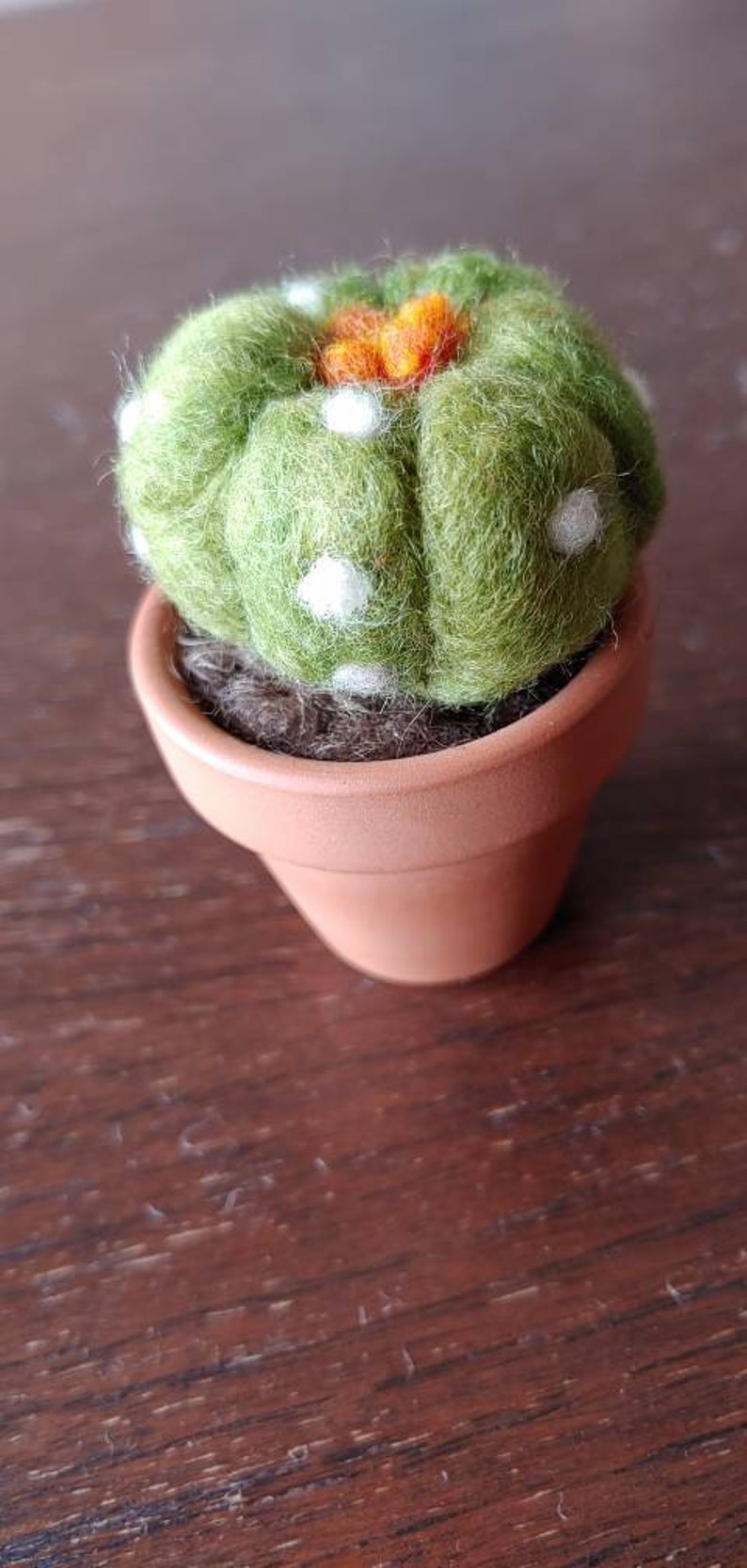 Mini needle felted succulent plant needle felt cactus small Etsy