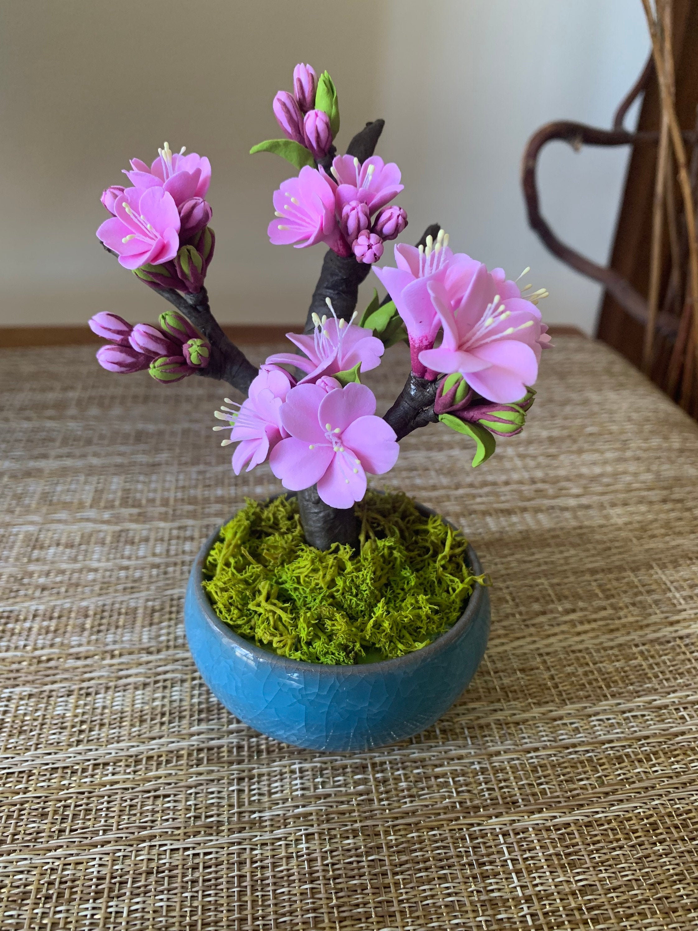 Exquisite Bonsai Cherry Blossom: A Miniature Masterpiece Of Nature