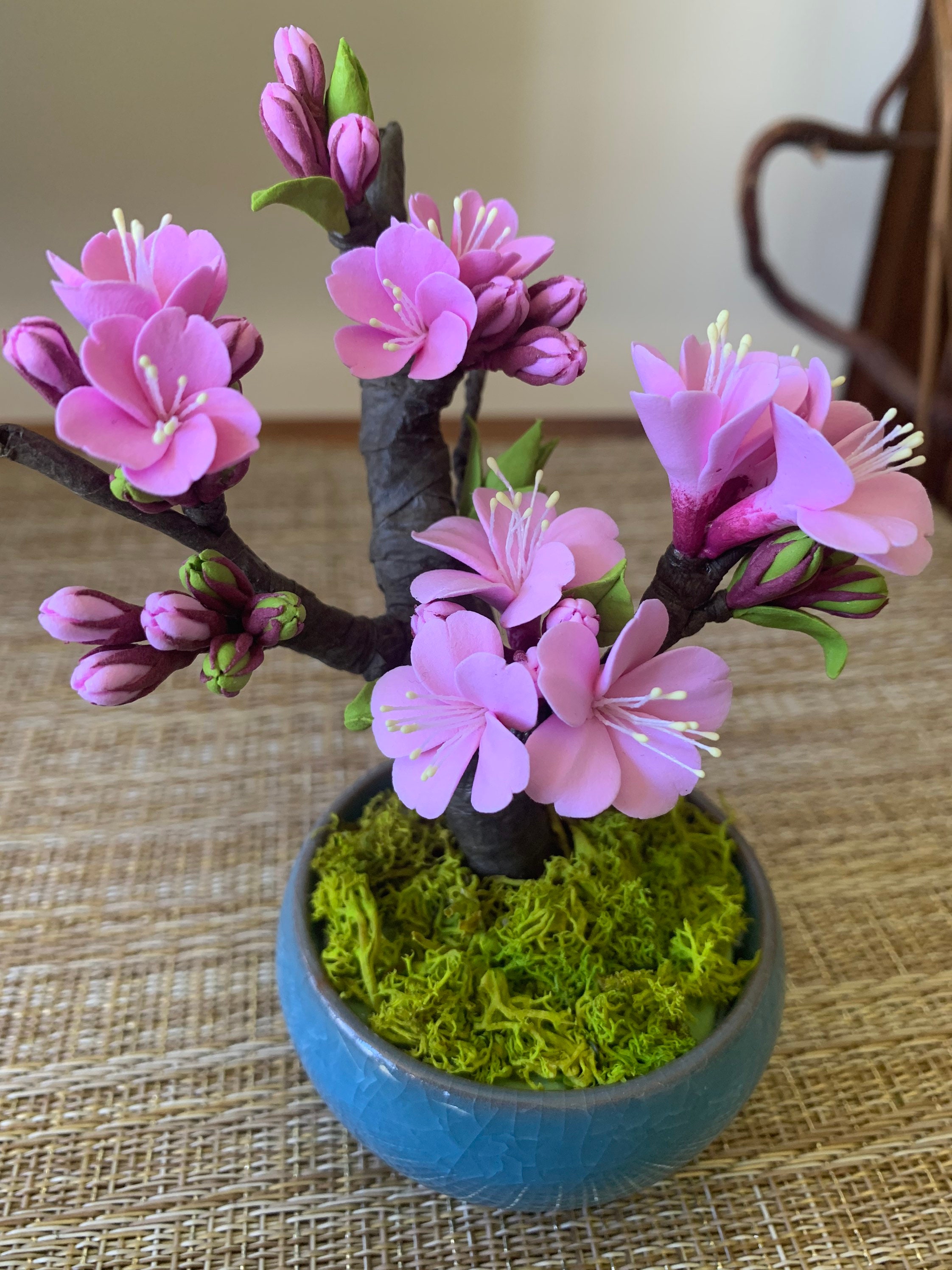 Japanese Cherry Blossom / Bonsai Tree 2 Japanese cherry Etsy