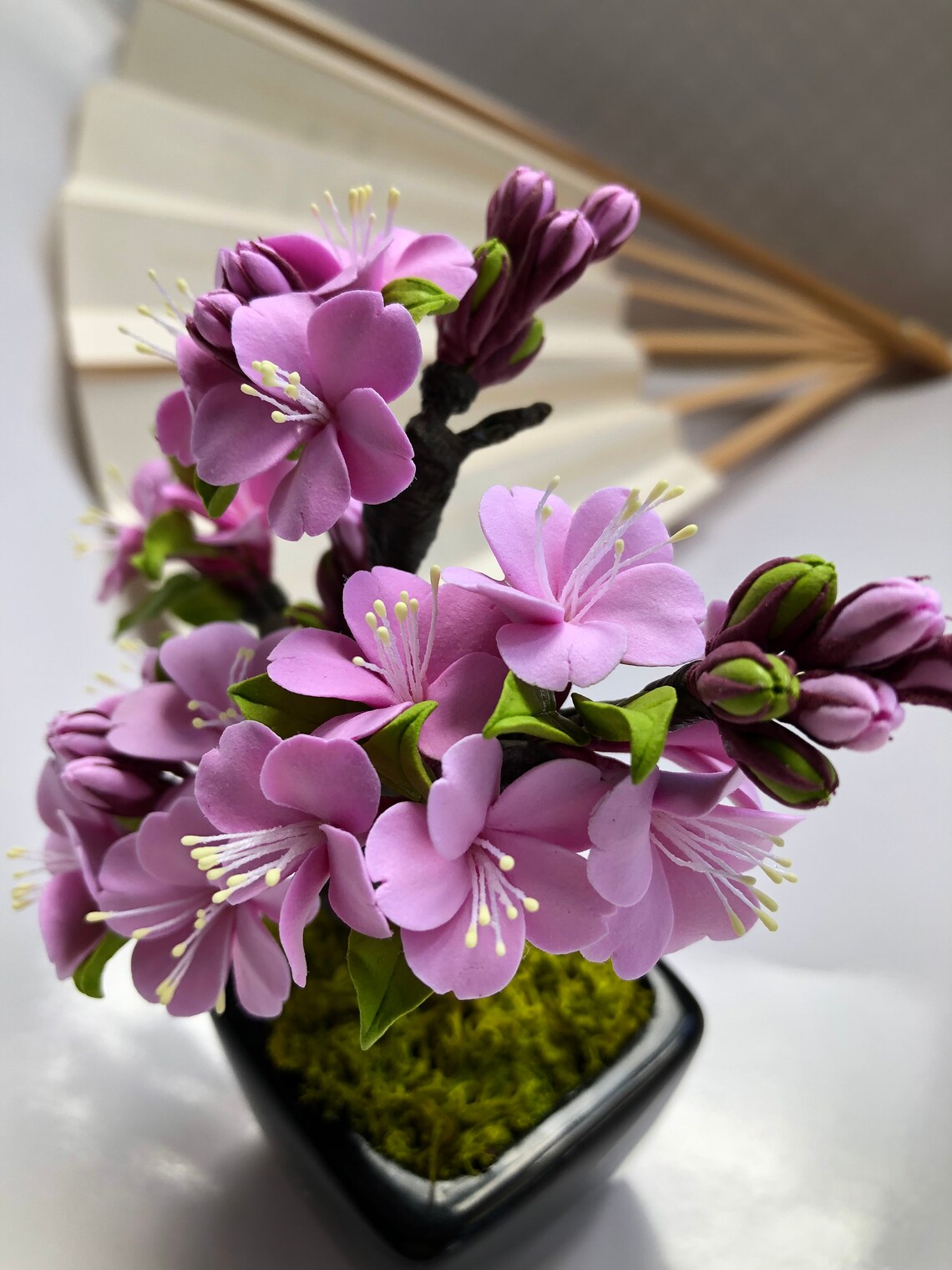Exquisite Bonsai Cherry Blossom: A Miniature Masterpiece Of Nature