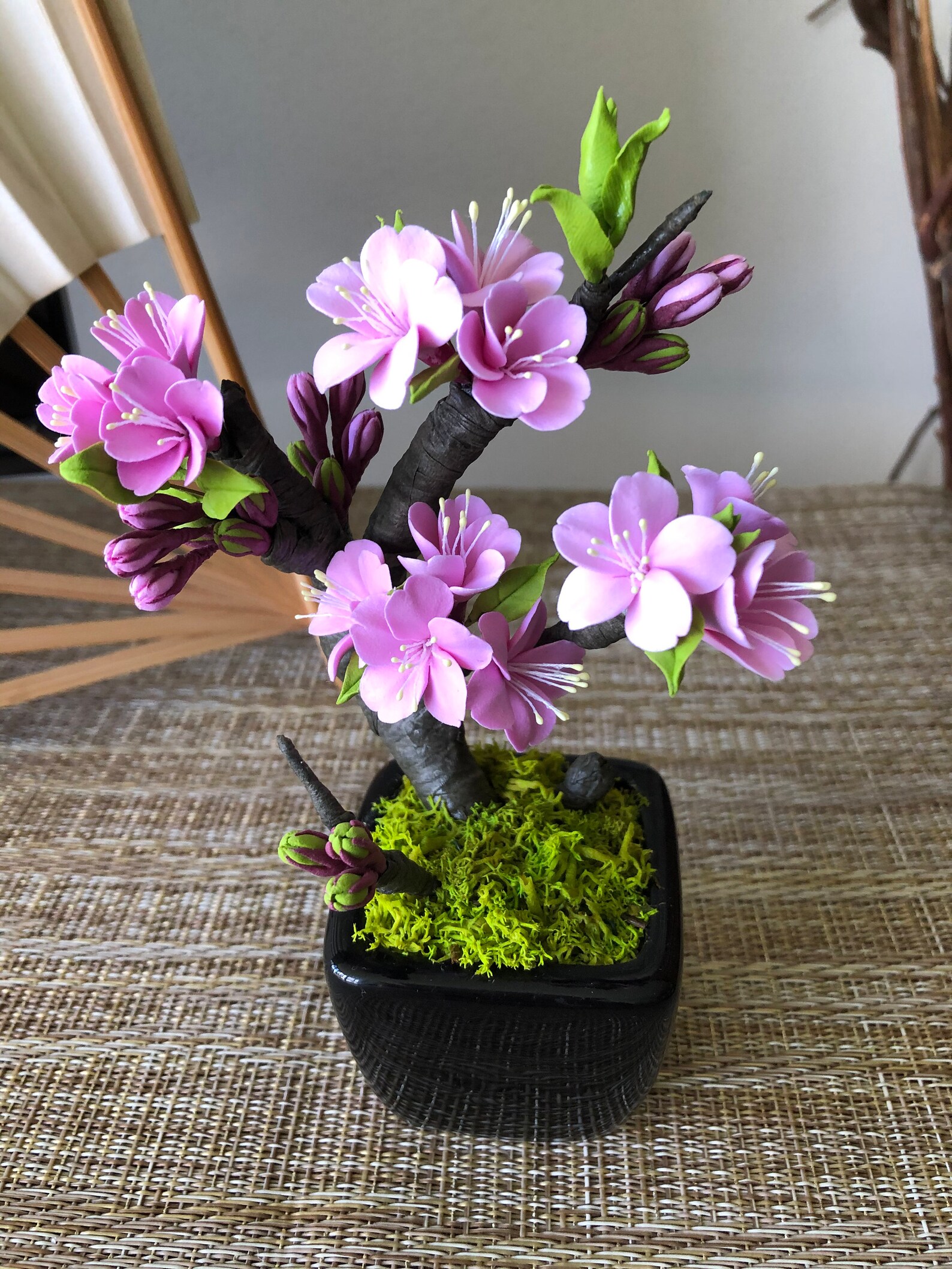 Cherry Blossom Tree Bonsai Tree 3 Japanese cherry blossom Etsy