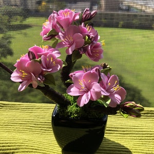 Japanese Cherry Blossom / Bonsai Tree #3: Japanese cherry blossom in dried moss. Made with soft clay. *NOT REAL FLOWERS.*
