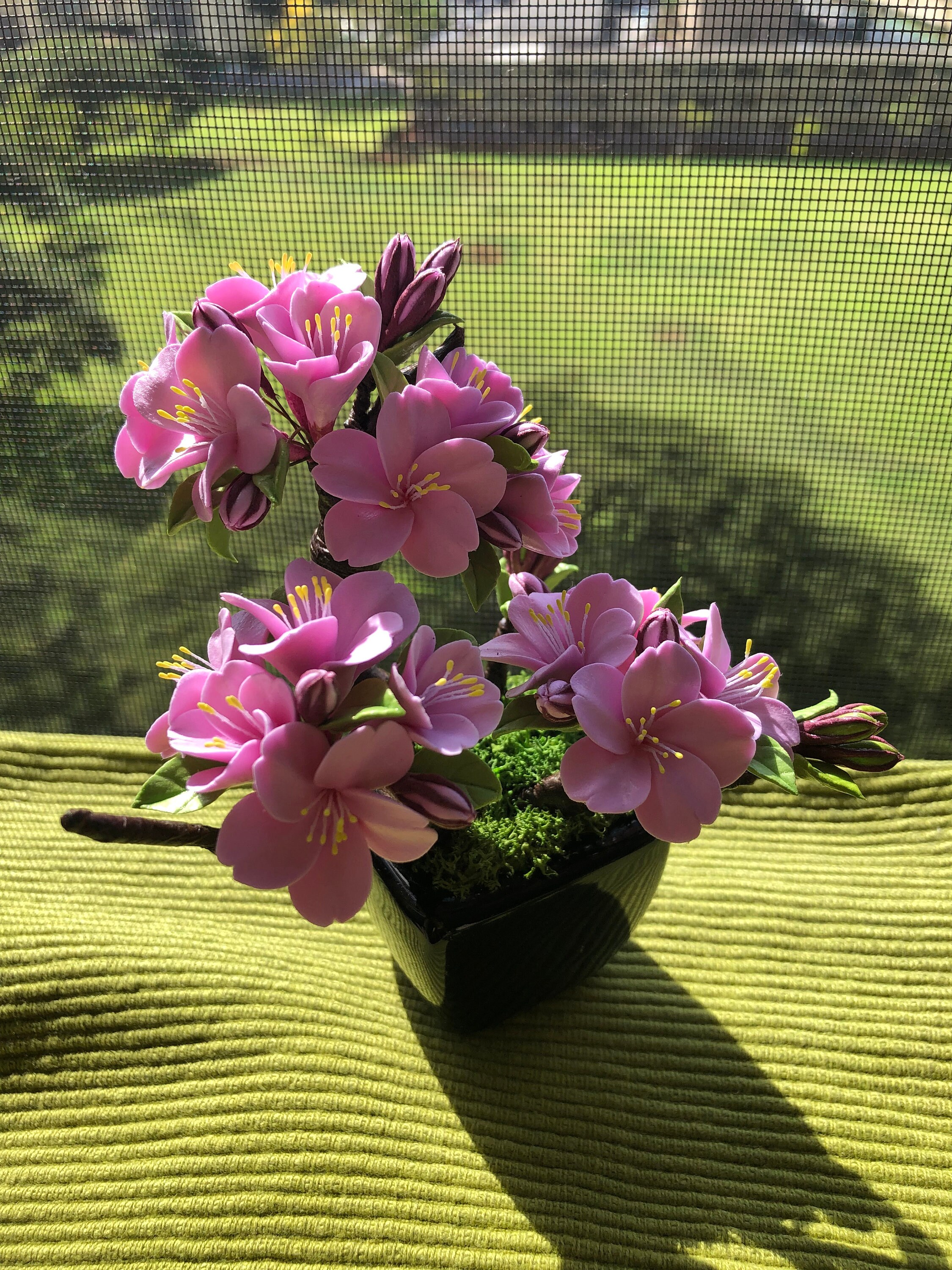 1. Enchanting Cherry Blossom Bonsai: A Living Masterpiece For Your Home