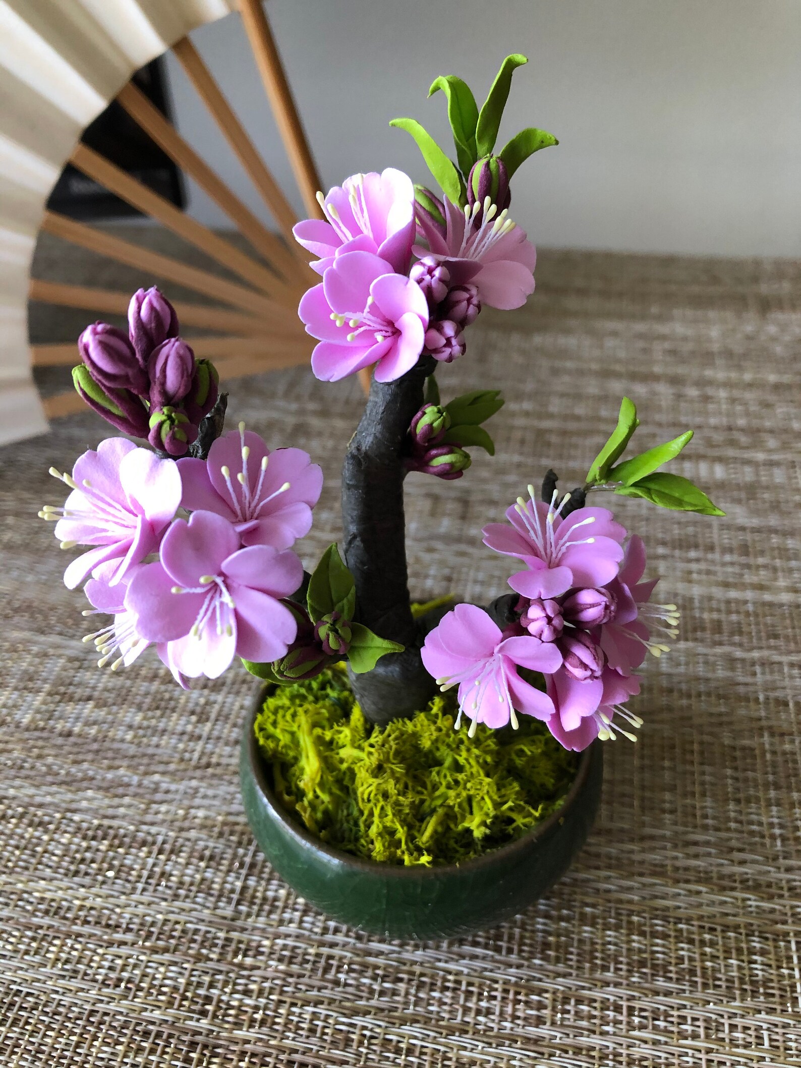 Cherry Blossom Tree Bonsai Tree 1 Japanese cherry blossom Etsy