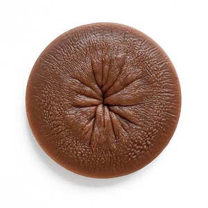 May include: A brown, round, textured object with a central opening. The object has a smooth, slightly shiny surface.