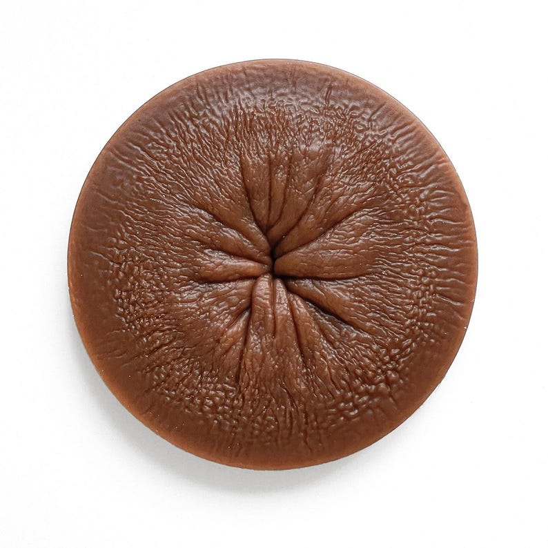 May include: A brown, round, textured object with a central opening. The object has a smooth, slightly shiny surface.