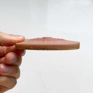 May include: A close-up of a round, flesh-coloured silicone prosthetic with a raised, textured centre. The prosthetic is mounted on a cork backing.