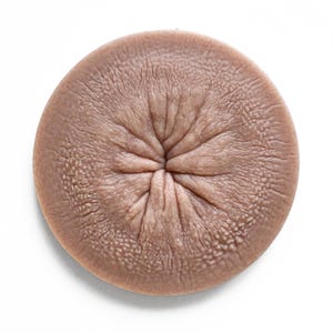 May include: A close-up of a round, textured, brown object with a central indentation. The object has a smooth, slightly shiny surface.