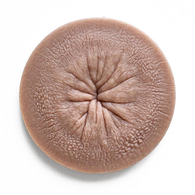 May include: A close-up of a round, textured, brown object with a central indentation. The object has a smooth, slightly shiny surface.