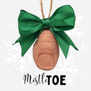 Decoração de Natal com Visco