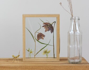 Handpicked Wild White Fritillary /& Pincushion dried flowers in floating wooden frame Amsterdam Netherlands Handmade flora nature Eco art