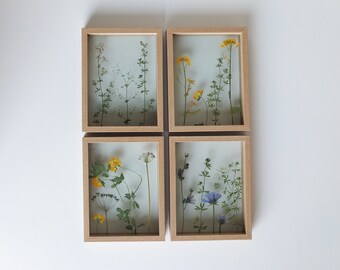 dried flowers frame flower items