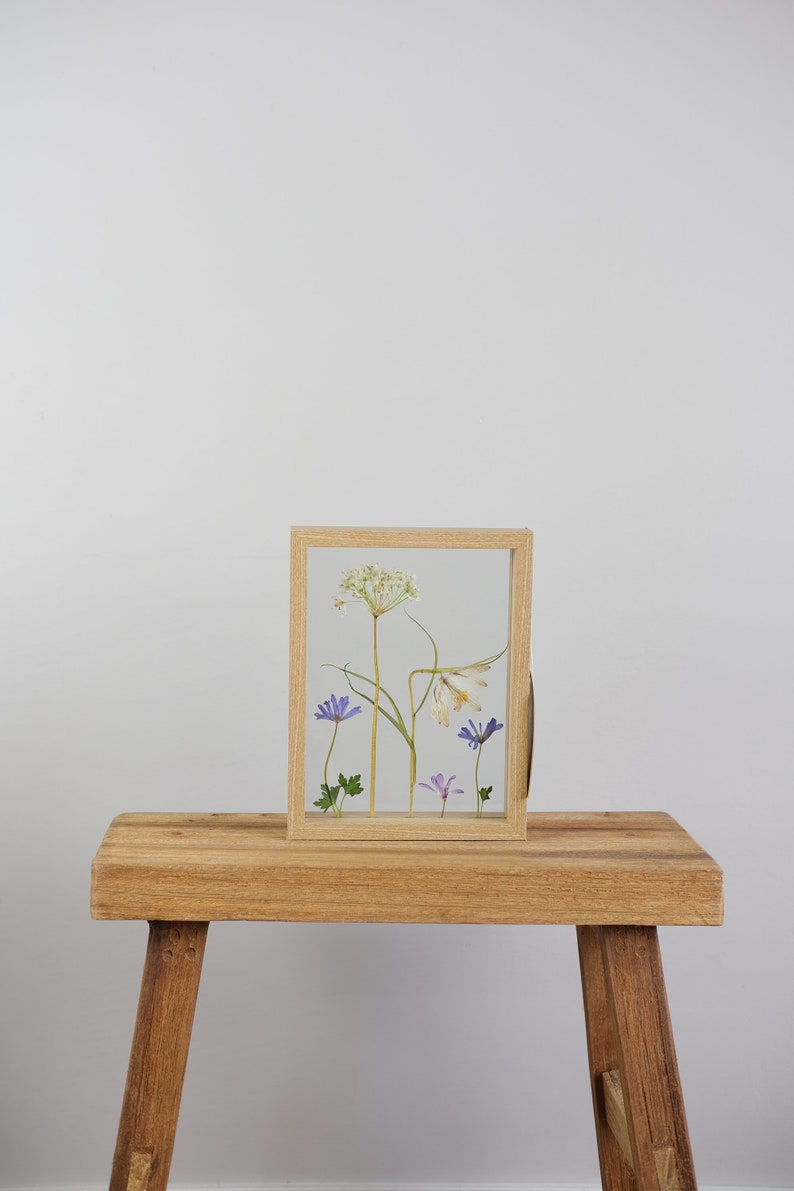 Handpicked Wild White Fritillary /& Pincushion dried flowers in floating wooden frame Amsterdam Netherlands Handmade flora nature Eco art