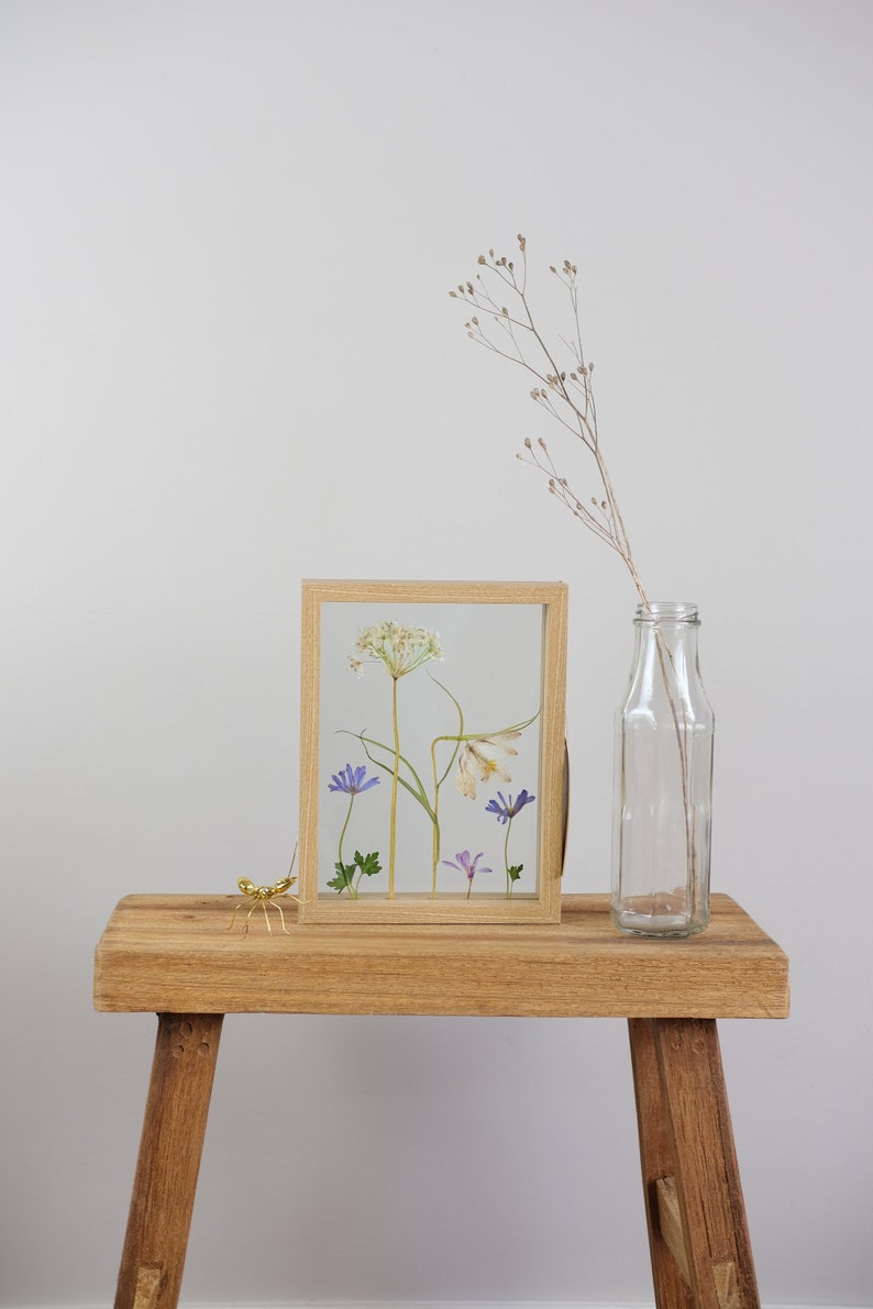 Handpicked Wild White Fritillary /& Pincushion dried flowers in floating wooden frame Amsterdam Netherlands Handmade flora nature Eco art