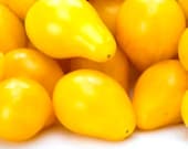Yellow Pear Tomato Seeds - Save Money on this Unique Heirloom 216