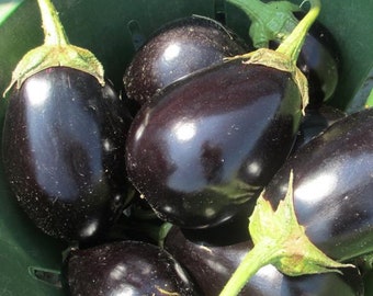 Heirloom Black Beauty Eggplant - 200 seeds, 1 gram - Buy 2 Get 1 Free - B35