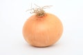 Heirloom Sweet Yellow Spanish Onion Seeds - Allium cepa - B175