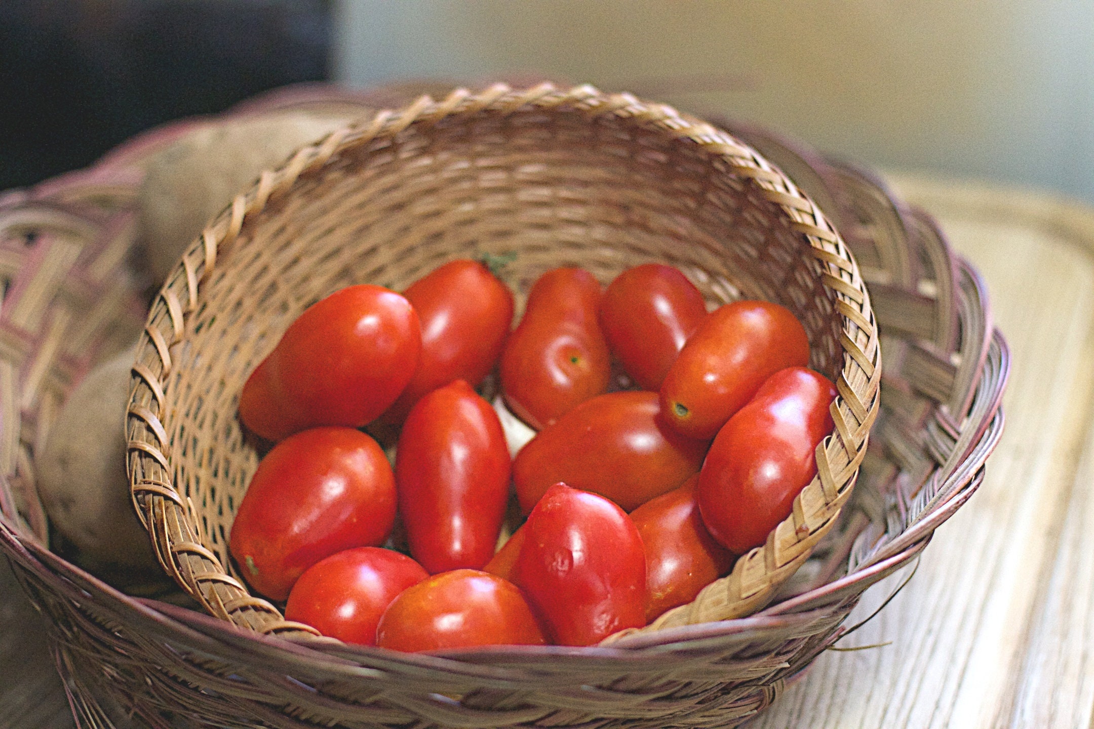 Roma Italian Tomato Seeds Heirloom Italian bin226C Etsy