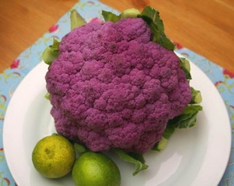 Heirloom Purple Sprouting Broccoli Seeds - Brassica oleracea var. italica - B245