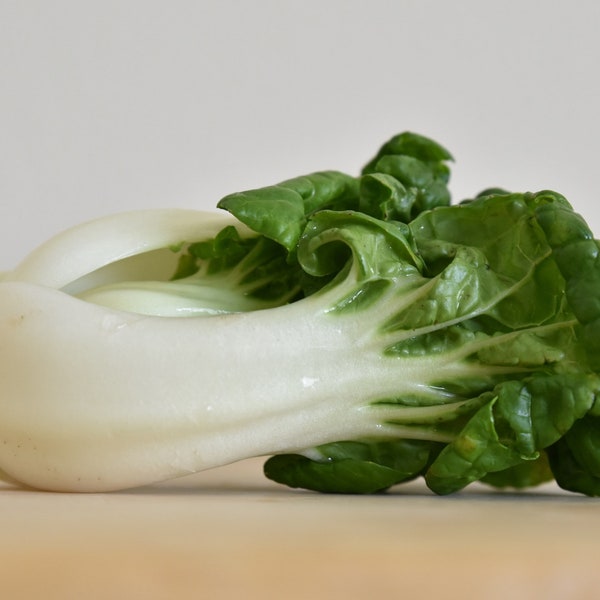 Heirloom Bok Choy Chinese Cabbage Seeds - Brassica rapa var. chinensis - B55