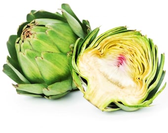 Heirloom Green Globe Artichoke Seeds - Cynara cardunculus var. scolymus - B112