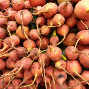 Heirloom Detroit Golden Beet Seeds - Beta vulgaris - B10