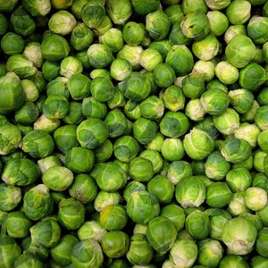 Heirloom Long Island Improved Brussel Sprouts - 500 seeds, 2 grams - Buy 2 Get 1 Order Free - B131