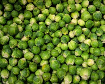 Heirloom Long Island Improved Brussel Sprouts - 500 seeds, 2 grams - Buy 2 Get 1 Order Free - B131