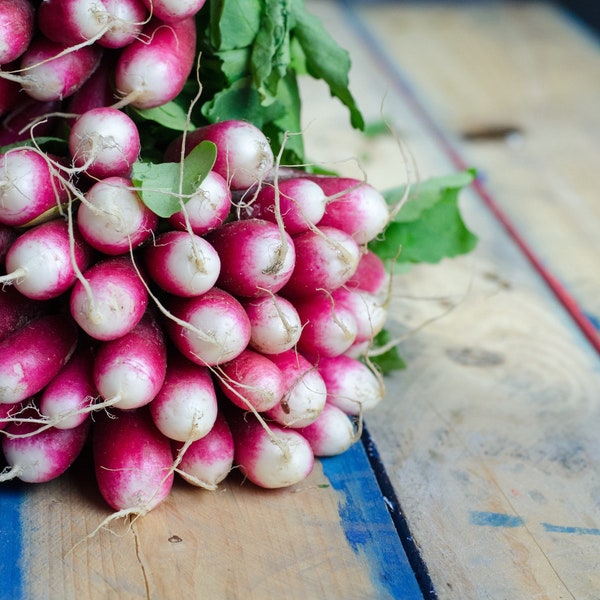 Heirloom French Breakfast Radish Seeds - Raphanus sativus - B78