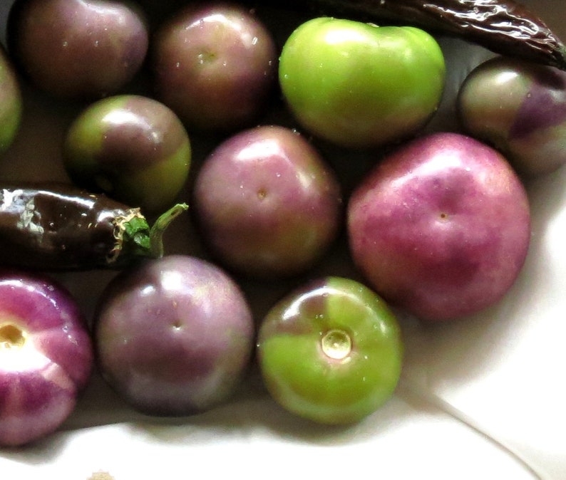 Purple Tomatillo Unique Rare Heirloom Salsa Fruit bin272 Etsy
