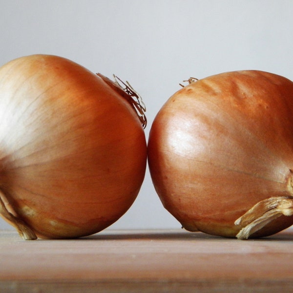 Heirloom Texas Early Grano Onion Seeds - Allium cepa - B53