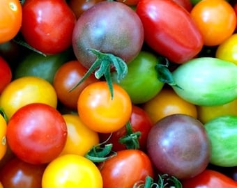 Rainbow Cherry Tomato - 30 seeds, 1/20 gram - Buy 2 Get 1 Order Free - B94