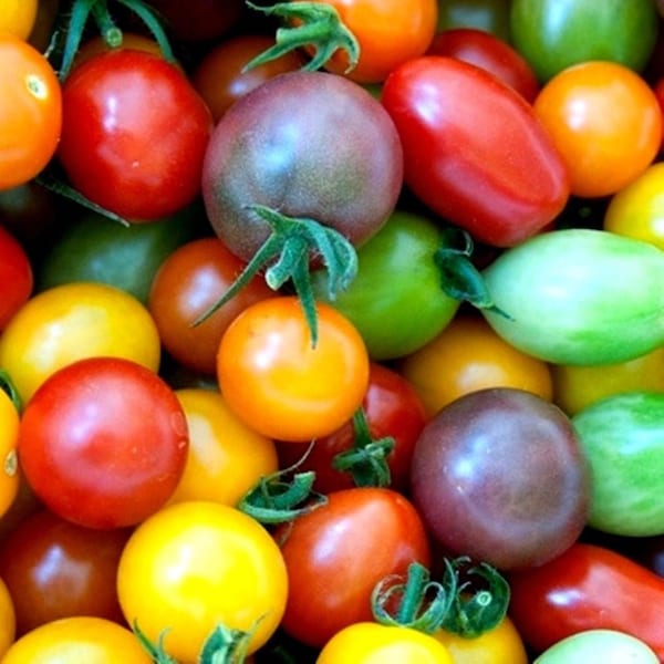 Rainbow Cherry Tomato - 30 seeds, 1/20 gram - Buy 2 Get 1 Order Free - B94