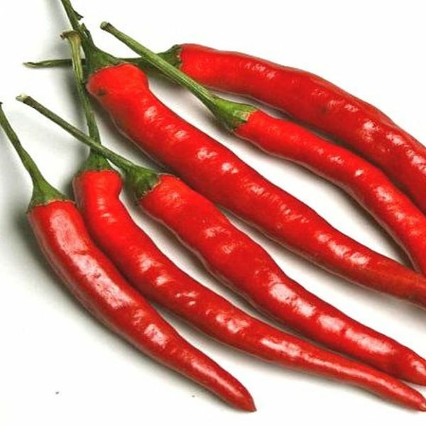 Heirloom Cayenne Long Thin Red Pepper Seeds - Capsicum annuum - B125