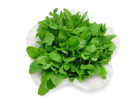 Roquette Arugula (Eruca vesicaria)