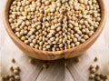 Heirloom Soybean Seeds - Glycine max - C20
