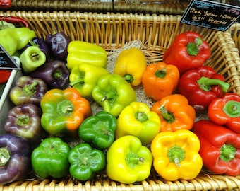 Rainbow Bell Pepper Mix Seeds - Capsicum annuum - B37