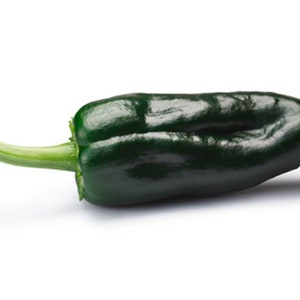 Heirloom Ancho Poblano Pepper - 30 seeds, 1/4 gram - Buy 2 Get 1 Order Free - B60