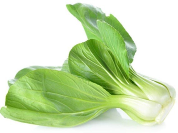 1000 Heirloom Bok Choy Pak Choi White Stem Chinese Cabbage Seeds w Gift Combines SH