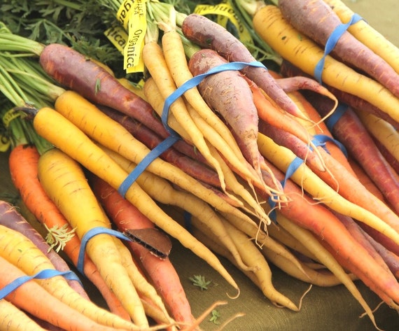 rainbow blend carrot seeds select 400 to 1 lb you pick many etsy