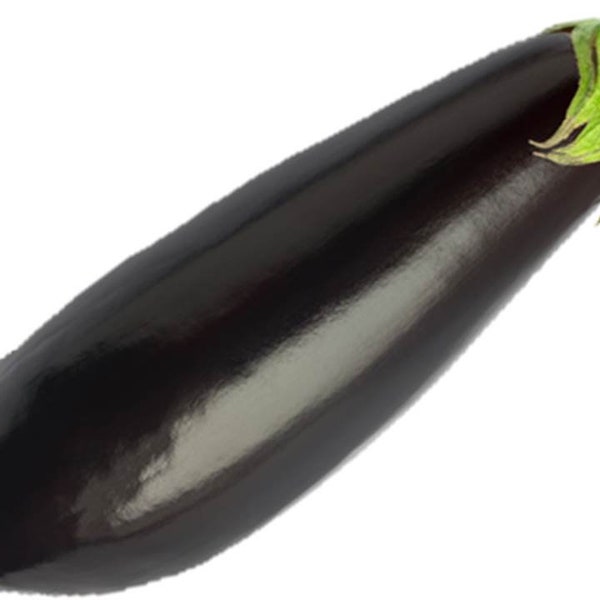 Heirloom Long Purple Eggplant Seeds - Solanum melongena - B36