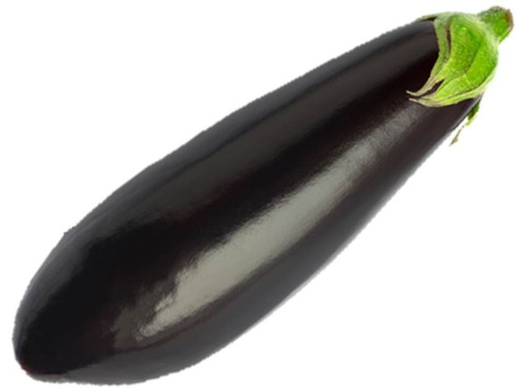 AUBERGINE /'BLACK BEAUTY/' 500 SEEDS BUY 3 GET 1 FREE!!! VEGETABLE