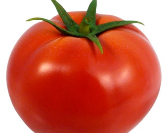 Heirloom Homestead Tomato Seeds - Solanum lycopersicum - B220