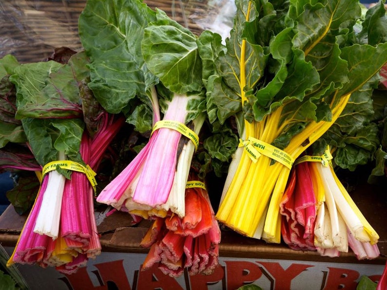 Chard Swiss Rainbow Seeds Unique Red Pink Yellow Green Etsy