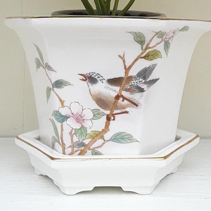 May include: A white hexagonal ceramic planter with a matching saucer, featuring a gold-trimmed rim. The exterior is decorated with a detailed illustration of a small brown and white bird perched on a flowering branch with green leaves and pink blossoms.