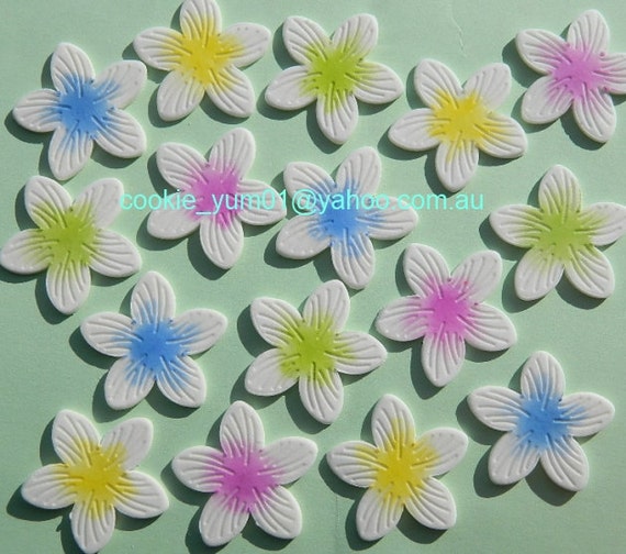 12 Edible Flat Frangipani Sugar Flowers Tropical Hawaiian Cake Etsy
