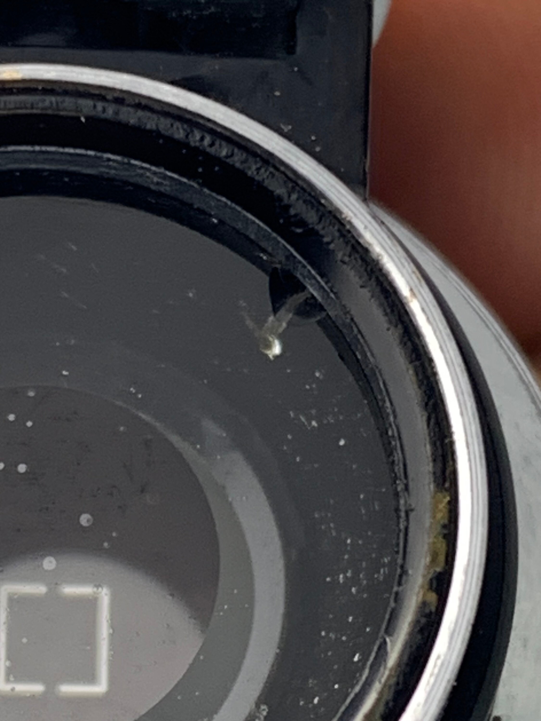 Schneider Kreuznach Tele Xenar 75 mm f/3.8 レンズ（ビュー