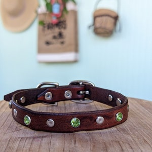 Small Dog Collar/Cat Collar